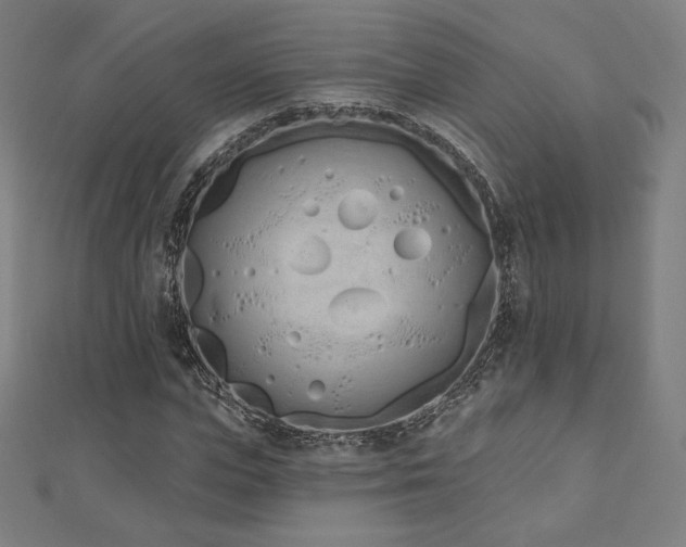 X0000112500823200908171307