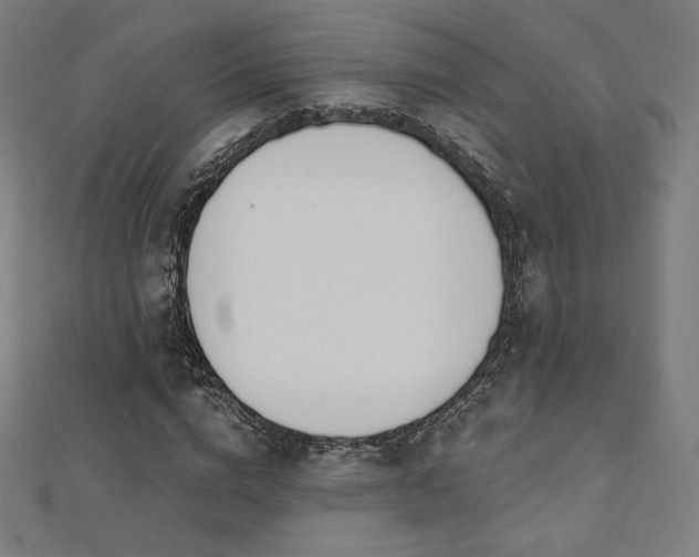 X0000112500824200908171307