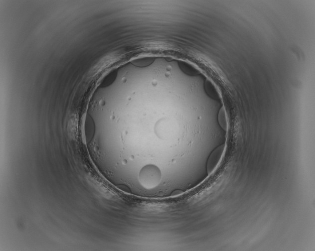 X0000112500825200908171307