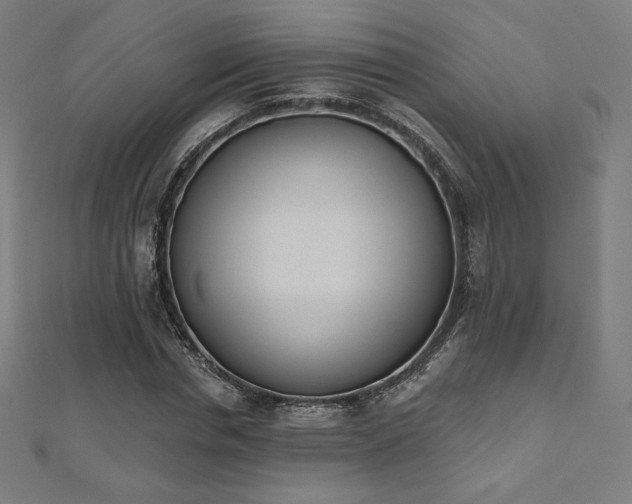 X0000112500826200908171307