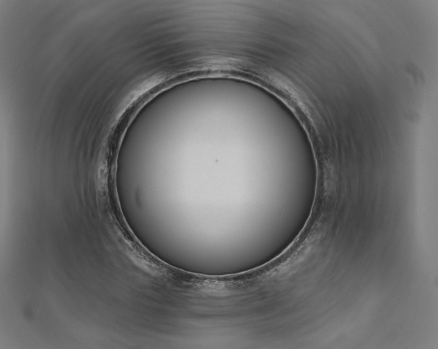 X0000112500827200908171307