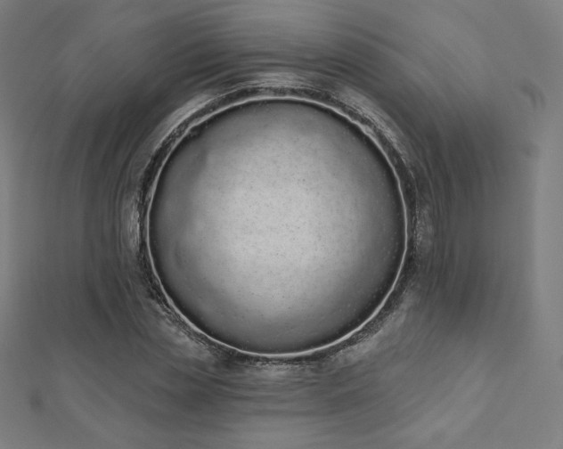 X0000112500829200908171307