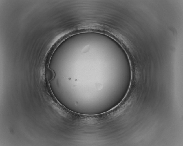 X0000112500830200908171307