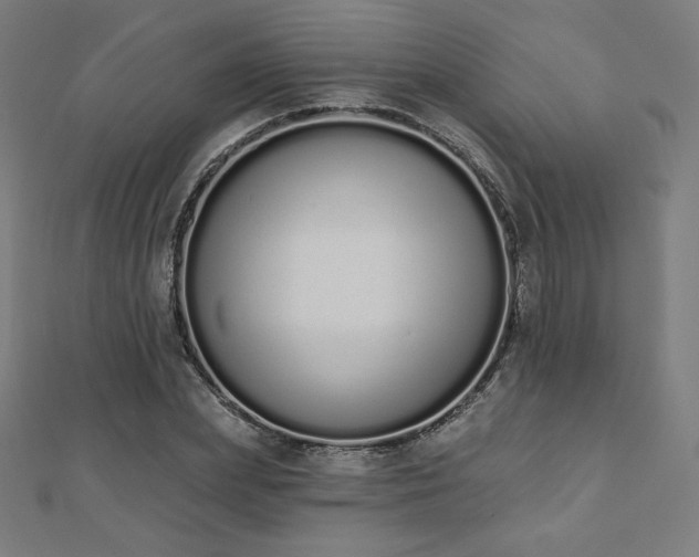 X0000112500831200908171307