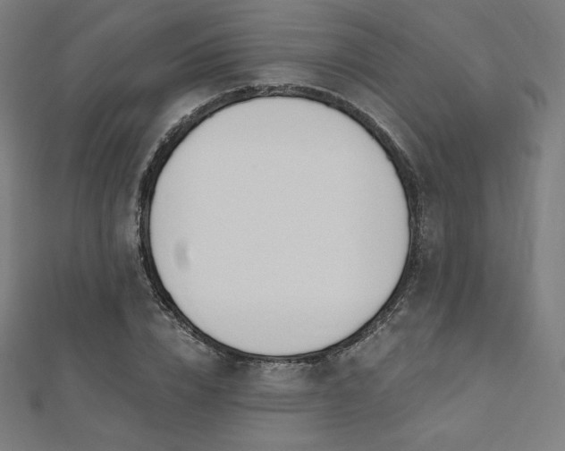 X0000112500832200908171307