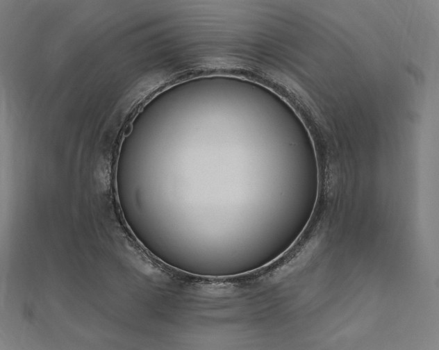 X0000112500833200908171307