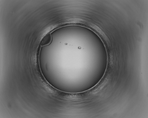 X0000112500834200908171307