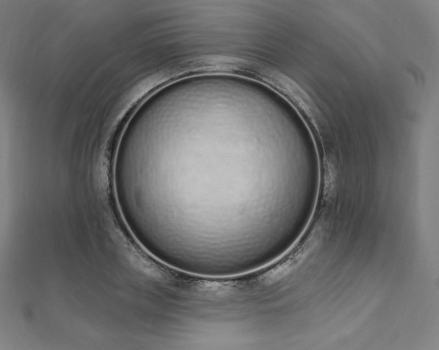 X0000112500835200908171307