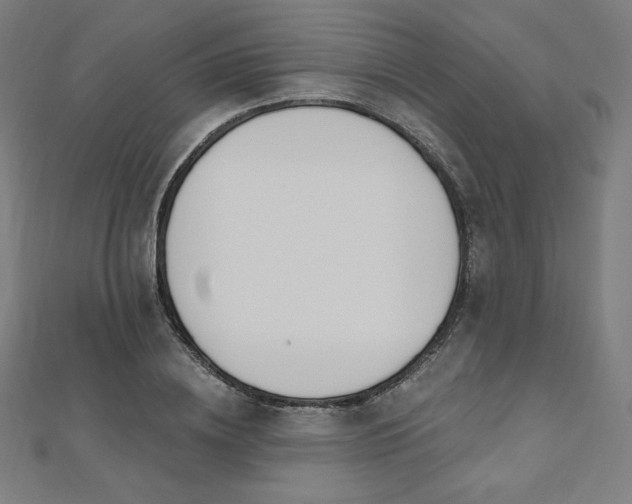 X0000112500836200908171307