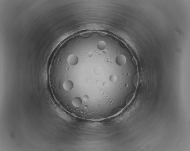 X0000112500837200908171307