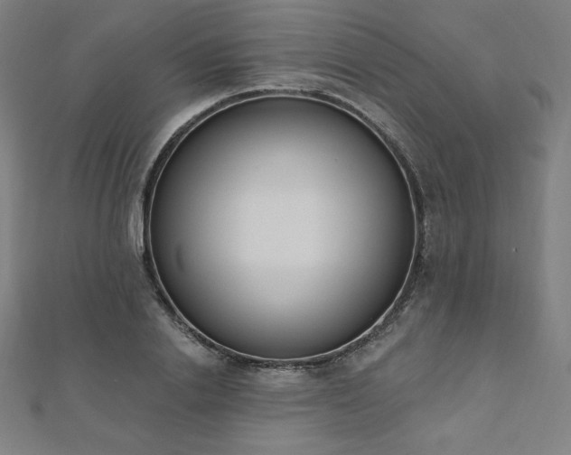 X0000112500838200908171307