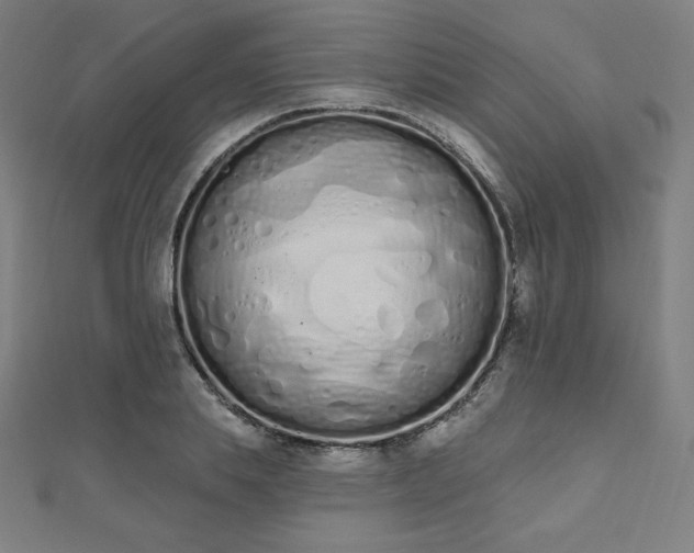 X0000112500839200908171307