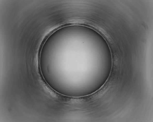 X0000112500840200908171307