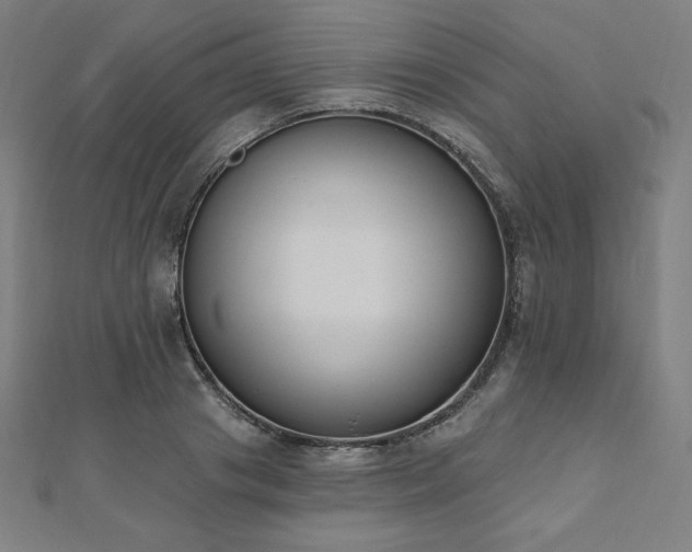 X0000112500841200908171307