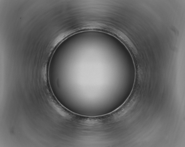 X0000112500842200908171307