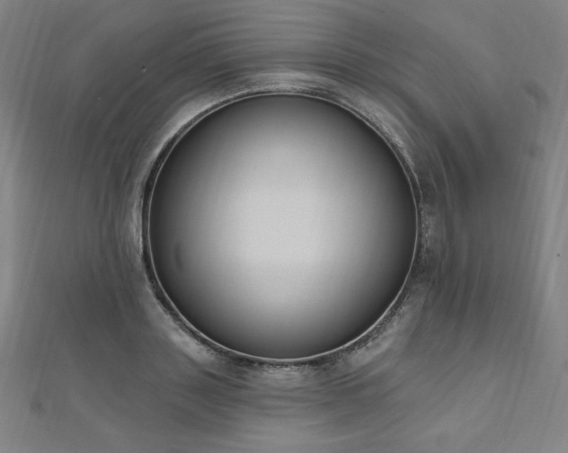 X0000112500843200908171307