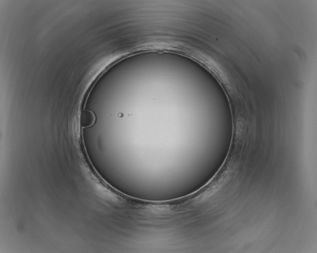 X0000112500844200908171307