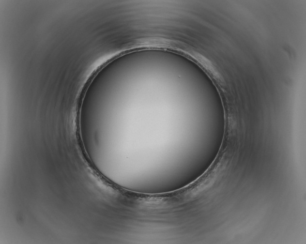 X0000112500846200908171308