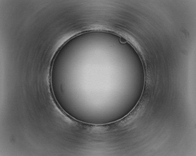 X0000112500847200908171308