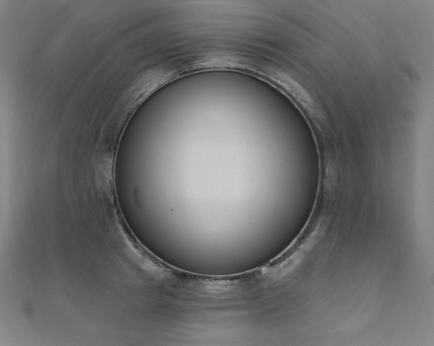 X0000112500849200908171308