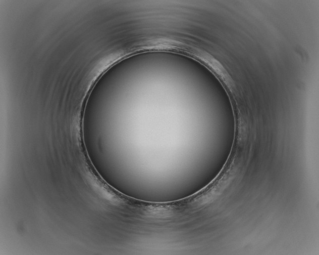 X0000112500850200908171308