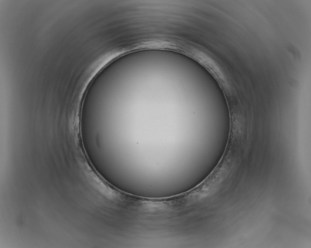 X0000112500852200908171308