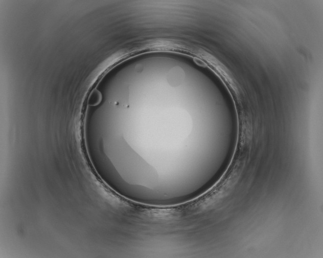 X0000112500853200908171308