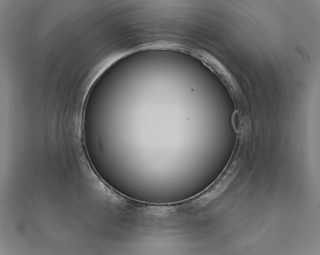 X0000112500860200908171308