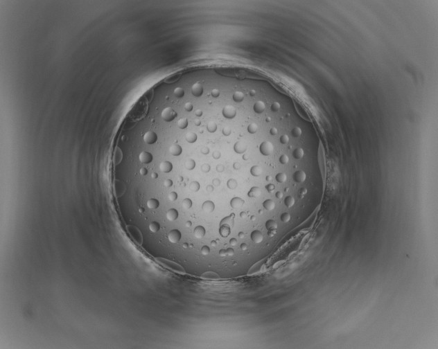 X0000112500863200908171308