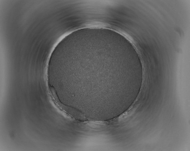 X0000112500864200908171308