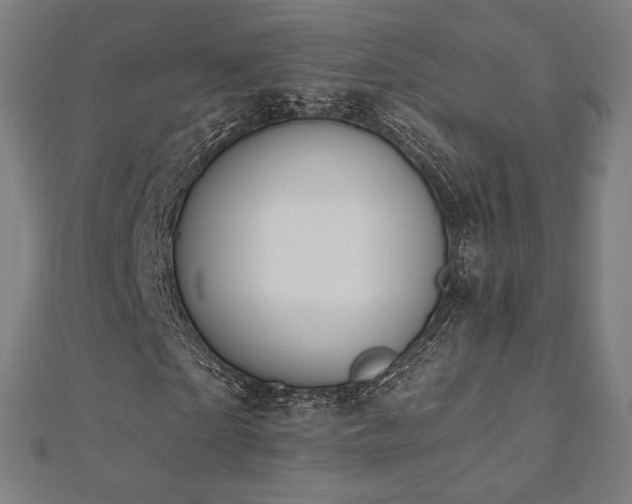 X0000112500865200908171307