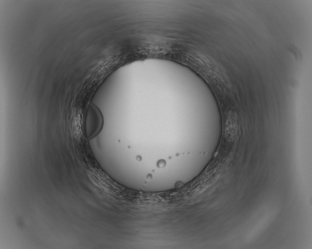 X0000112500866200908171307