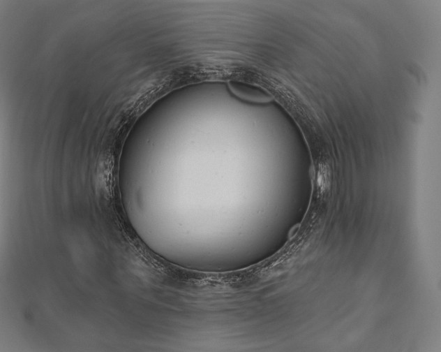 X0000112500867200908171307