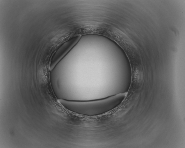 X0000112500868200908171307