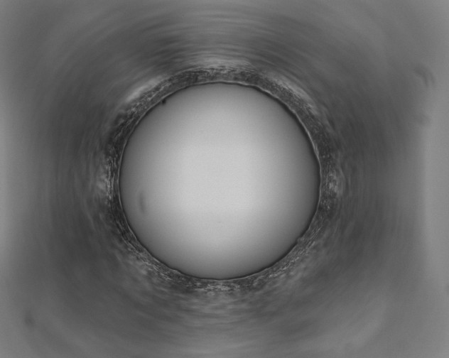 X0000112500869200908171307