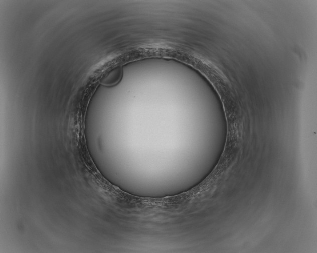 X0000112500870200908171307