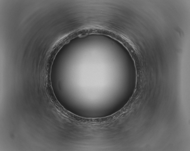 X0000112500872200908171307