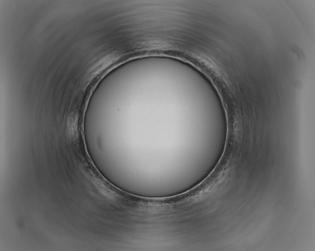 X0000112500873200908171307