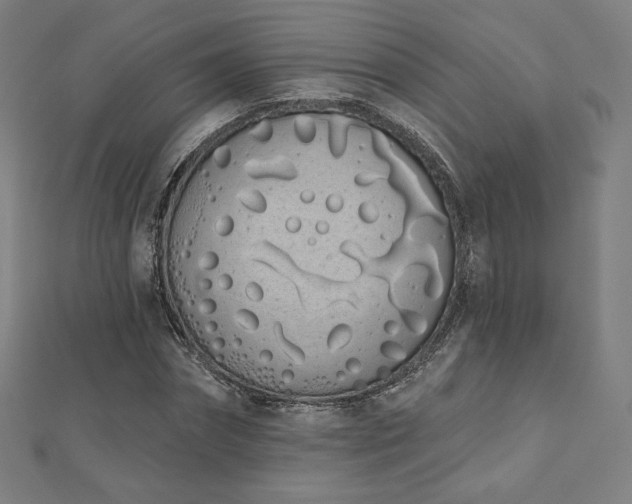 X0000112500874200908171307