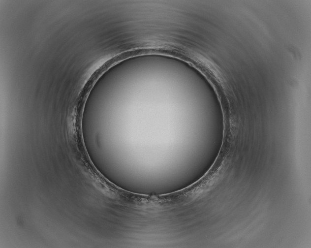 X0000112500875200908171307