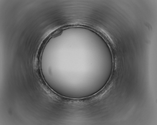 X0000112500876200908171307