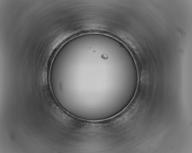 X0000112500877200908171307