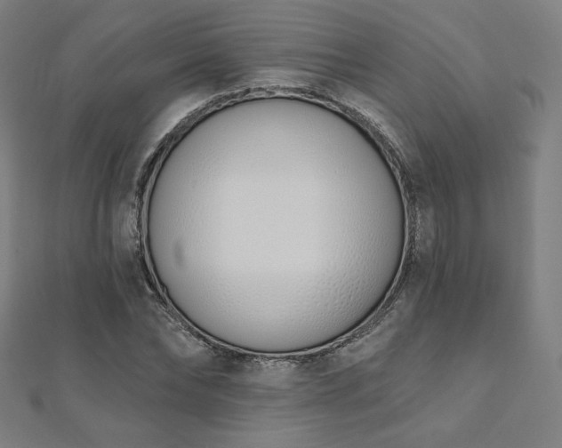 X0000112500878200908171307