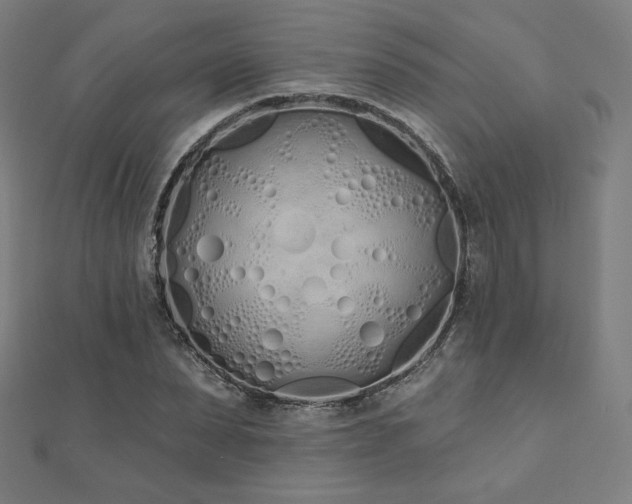 X0000112500879200908171307