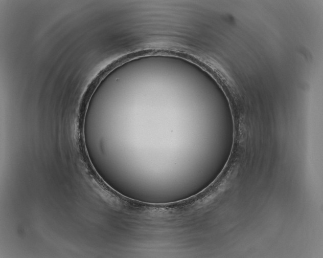 X0000112500880200908171307