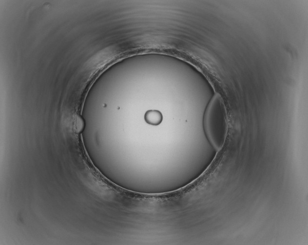 X0000112500881200908171307