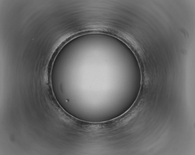 X0000112500883200908171307