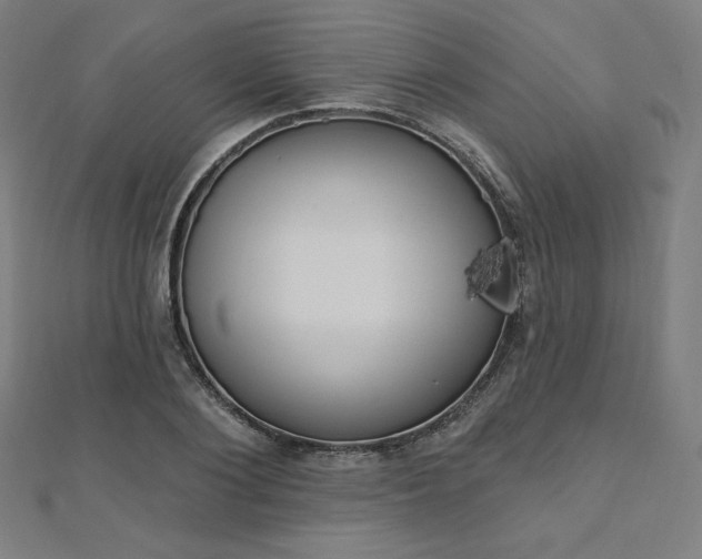 X0000112500884200908171307