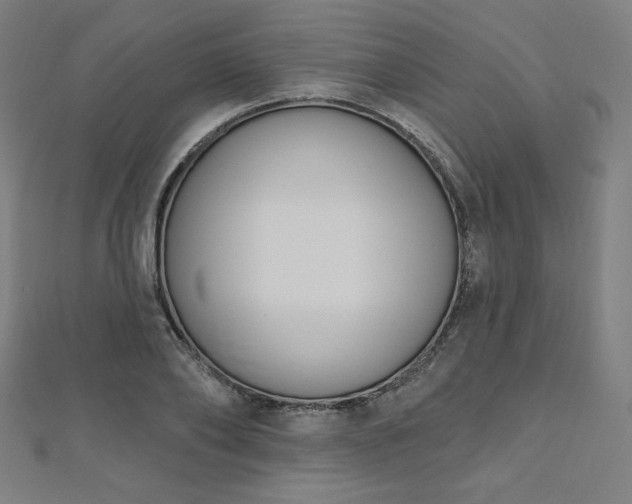 X0000112500886200908171307