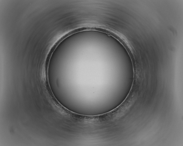 X0000112500887200908171307